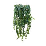 گیاه پاپیتال مصنوعی