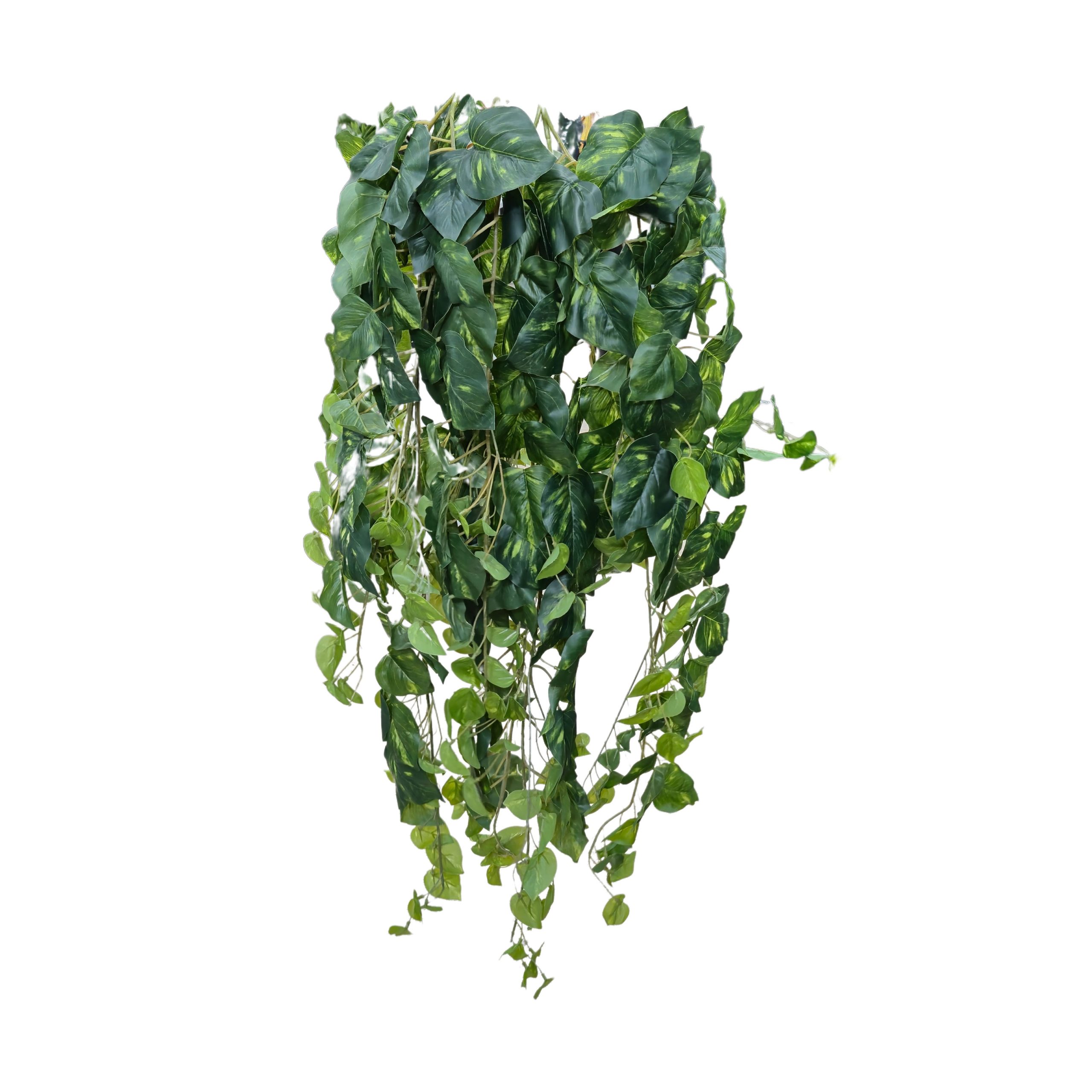 MV-01 گیاه پاپیتال مصنوعی - تصویر 1