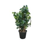 یتسپروم مصنوعی با برگهای سبز، ظاهر طبیعی و شاخههای انبوه؛ ایدهآل برای دکوراسیون منزل و محل کار