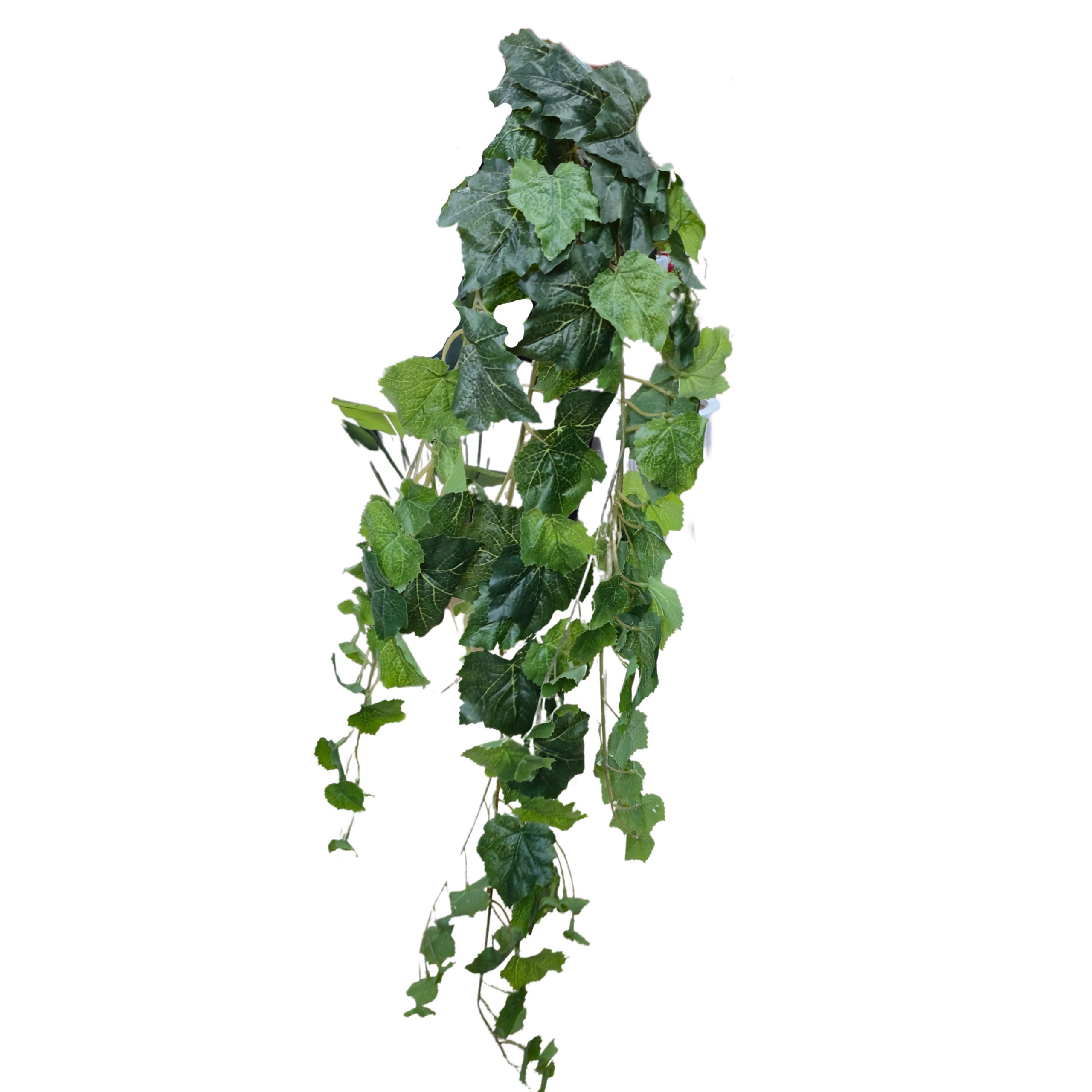 MV-14 گیاه پاپیتال مصنوعی - تصویر 2