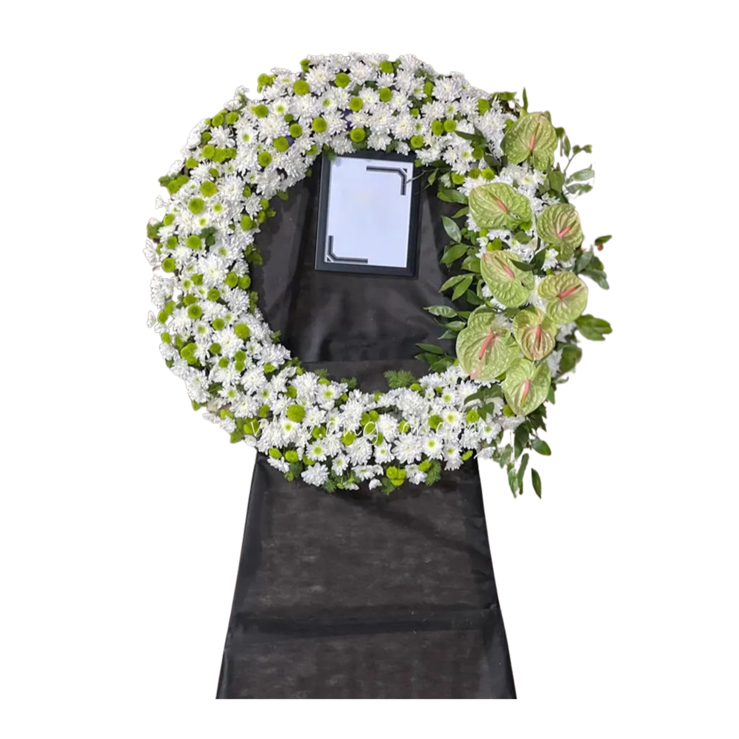 taj-02 تاج گل داودی سفید و آنتریوم سبز - تصویر 1