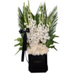 باکس گل گلایل سفید و داوودی سفید