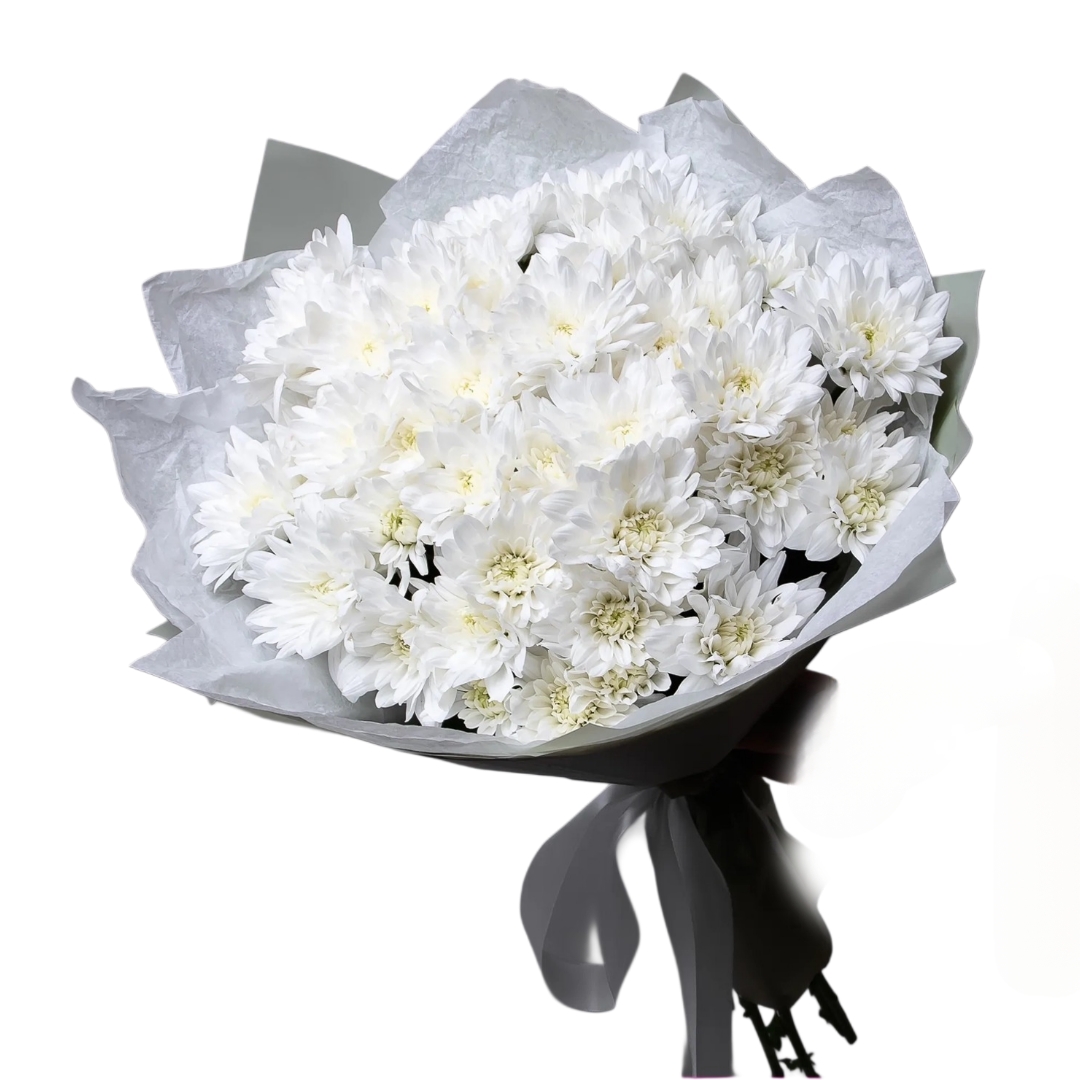Picsart_25-08-12_17-10-49-364 دسته گل حجیم و پر از گلهای داودی سفید تازه، پیچیده شده در کاغذپیچی مدرن خاکستری و سفید با روبان تیره، با پسزمینه کاملاً سفید.