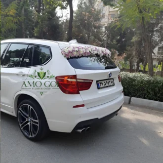 نمای پشت ماشین عروس BMW سفید با گل‌های داوودی دو رنگ قرمز و سفید | گل‌آرایی عمـوگل